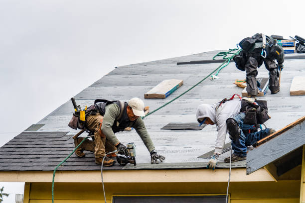 Professional Roofing technician working in South Walpole, MA